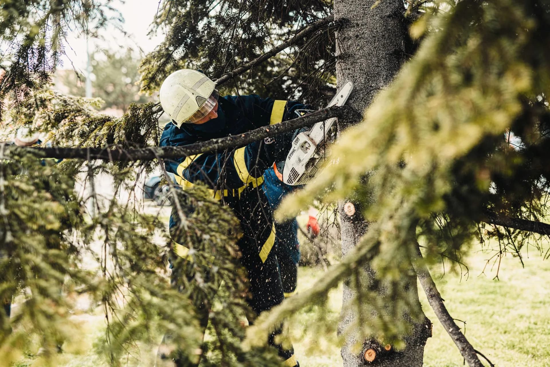 Un élagueur cordiste en chantier, suspendu dans un arbre à Lorient