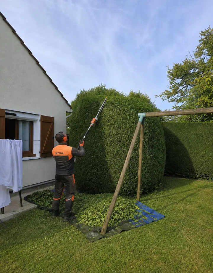 Jardin bien entretenu à Lorient bénéficiant du crédit d'impôt pour services à la personne.